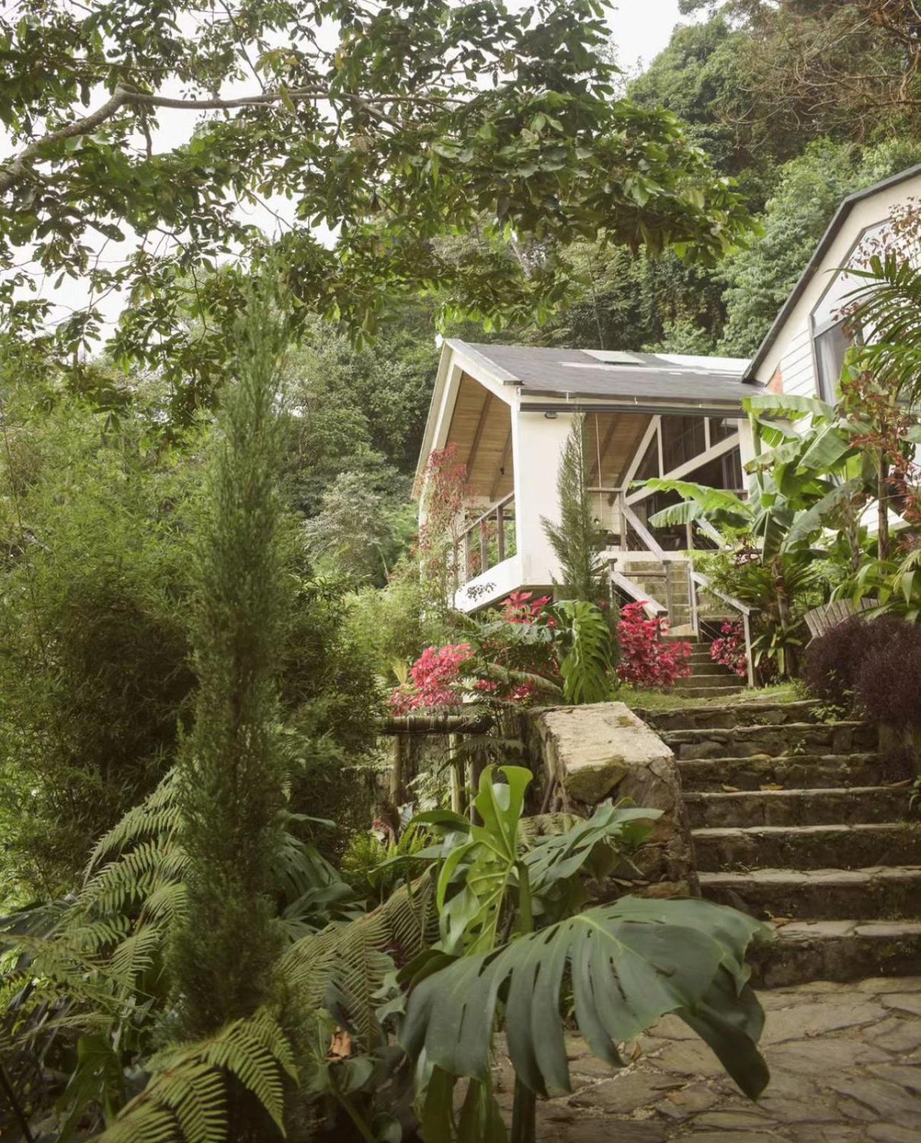 Minca Casa Las Nubes - Un Refugio Natural En La Sierra Nevada, Santa Marta, Col エクステリア 写真